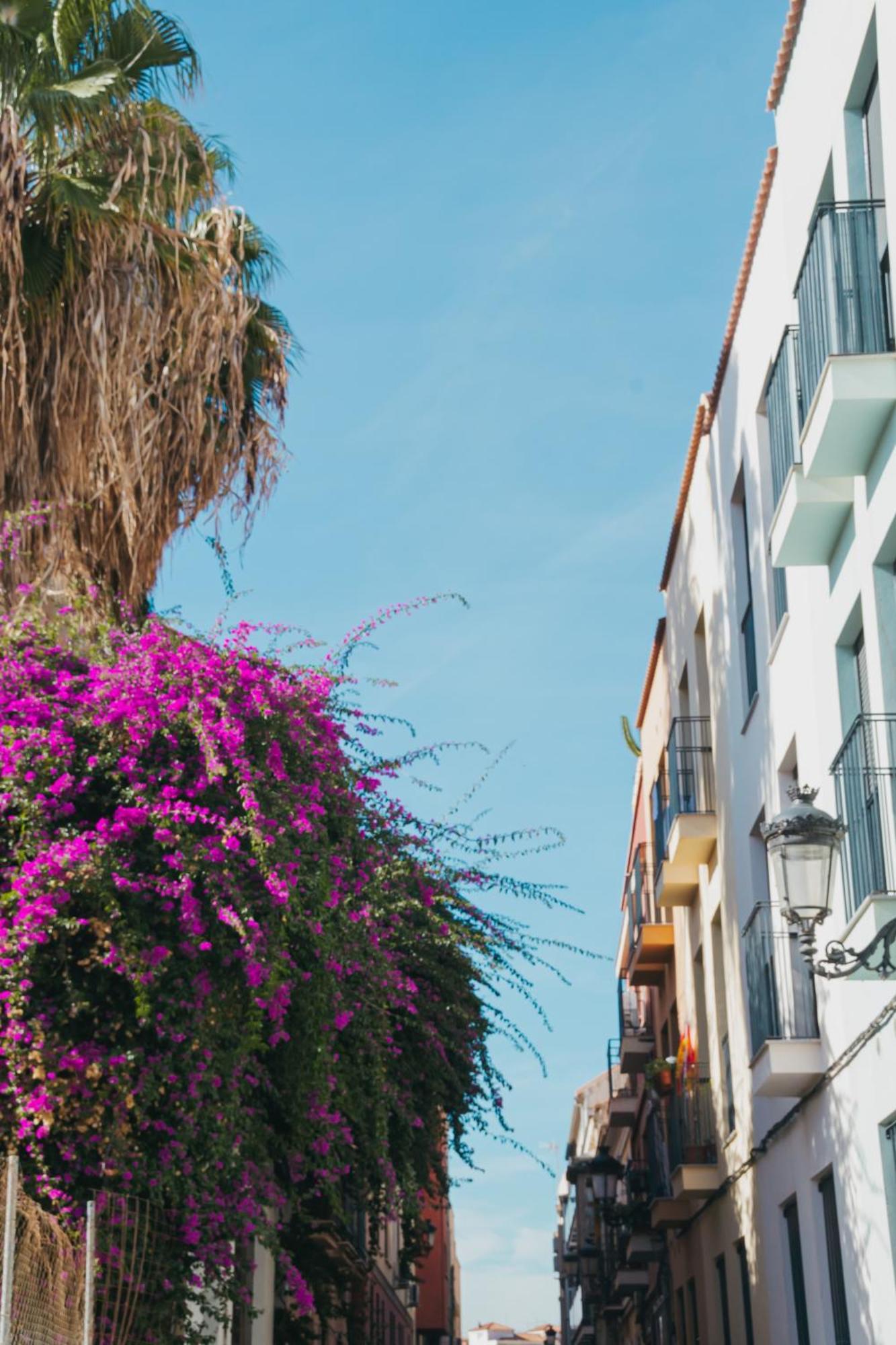 Picasso Premium Apartment Malaga Zewnętrze zdjęcie