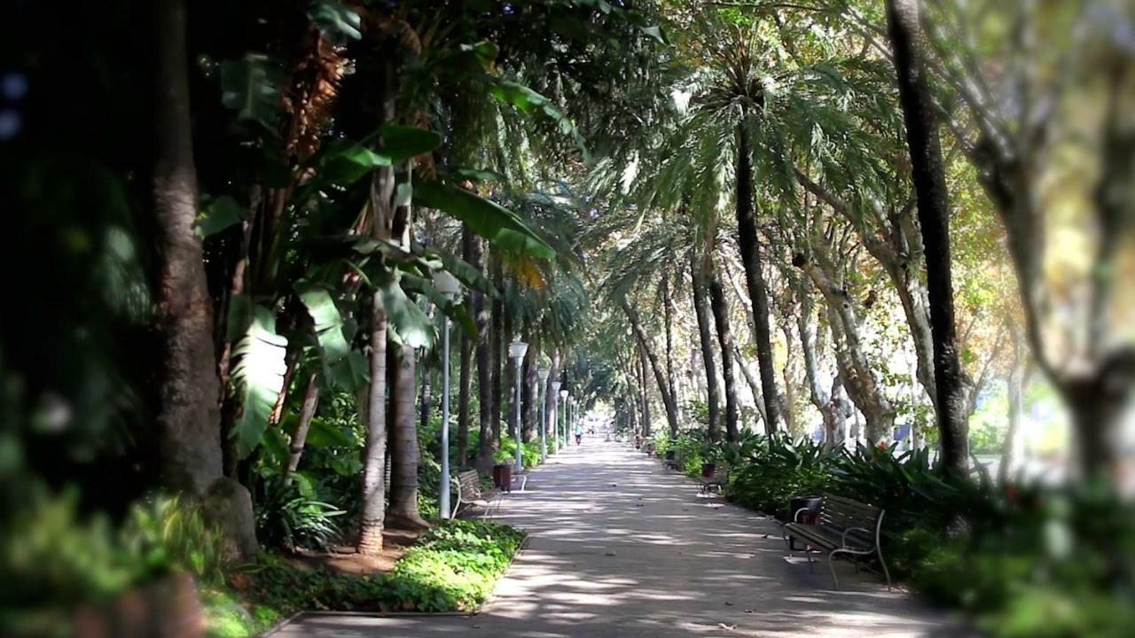 Picasso Premium Apartment Malaga Zewnętrze zdjęcie